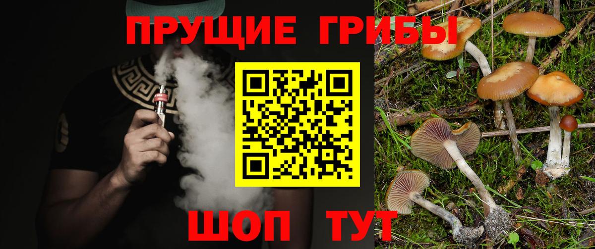 купить наркотики цена  Галлюциногенные грибы Psilocybine cubensis  Вход с VPN  Ипатово 