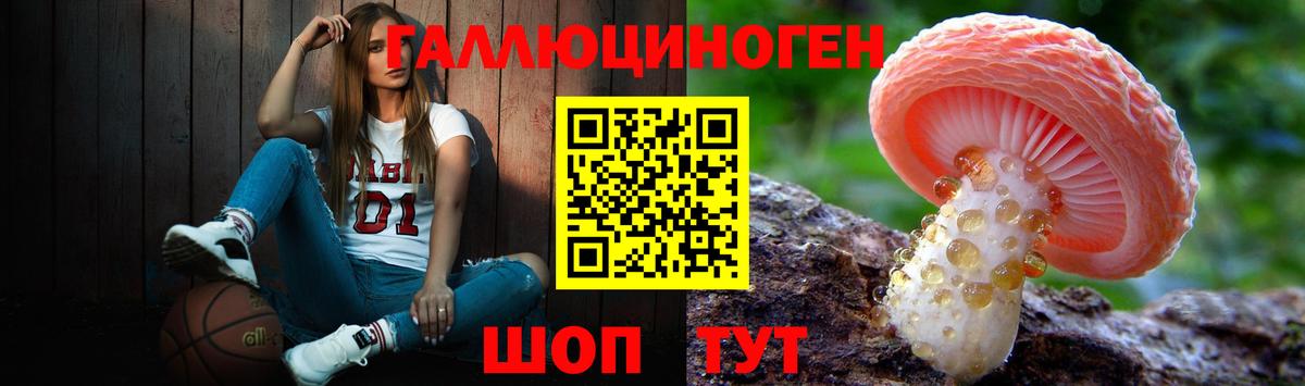 Псилоцибиновые грибы MAGIC MUSHROOMS Ипатово
